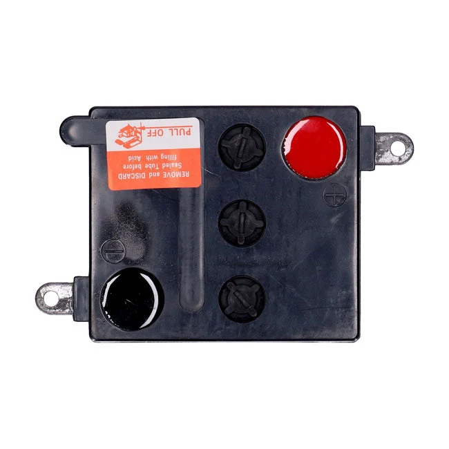 MCS 6V batteri