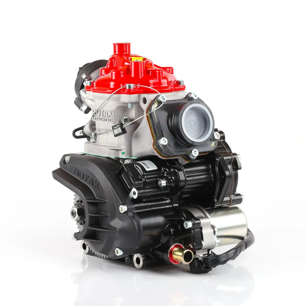Rotax 125 Max Senior 2026 (Endast motor)