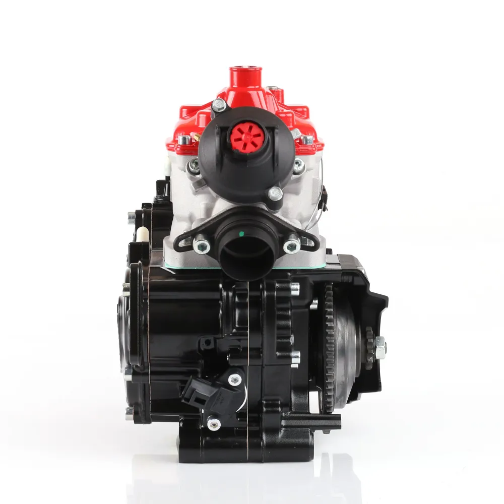 Rotax 125 Max Senior 2026 (Endast motor)