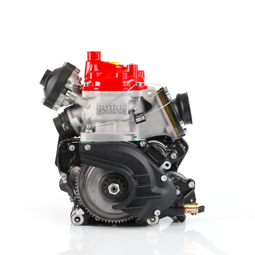 Rotax 125 Max Senior 2026 (Endast motor)