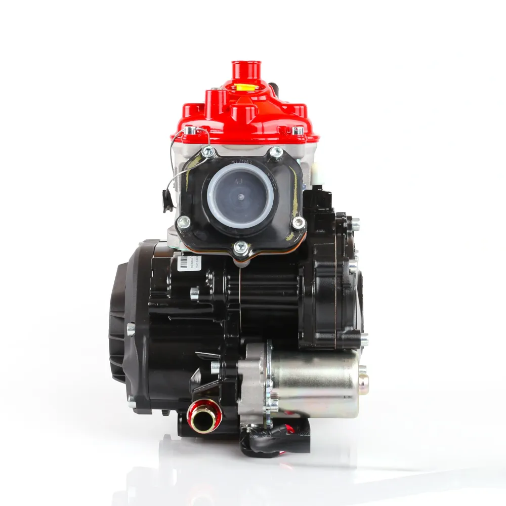 Rotax 125 Max Senior 2026 (Endast motor)