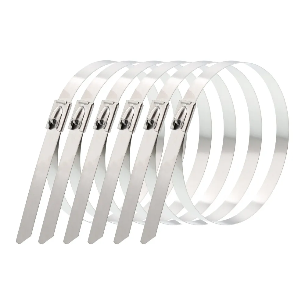 SMP Buntband Rostfritt Stål 20cm 6-pack