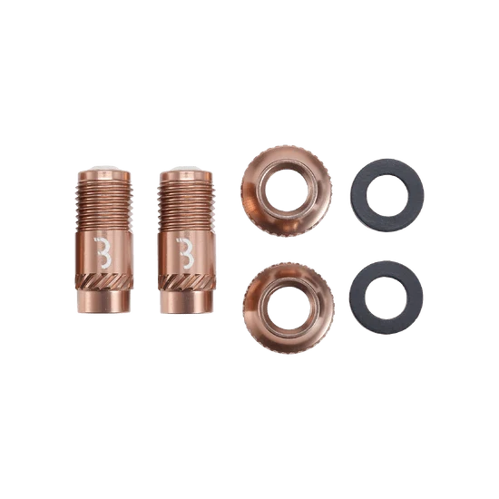 Ventilspetsar BBB CORE CAP Brons (x2)