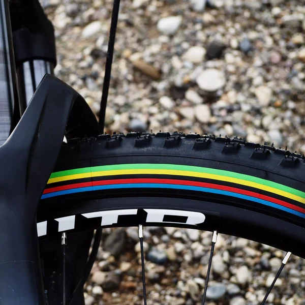 VITTORIA BARZO XC 29x2.25 "UCI Rainbow Edition" Tubeless Ready Soft Black-däck