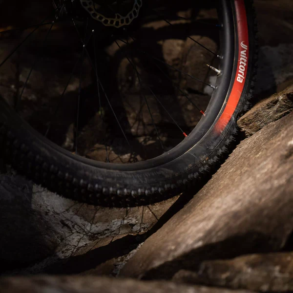 VITTORIA MOTA ENDURO RACE 29x2.40 Graphene/Silica Tubeless Ready Soft Black-däck