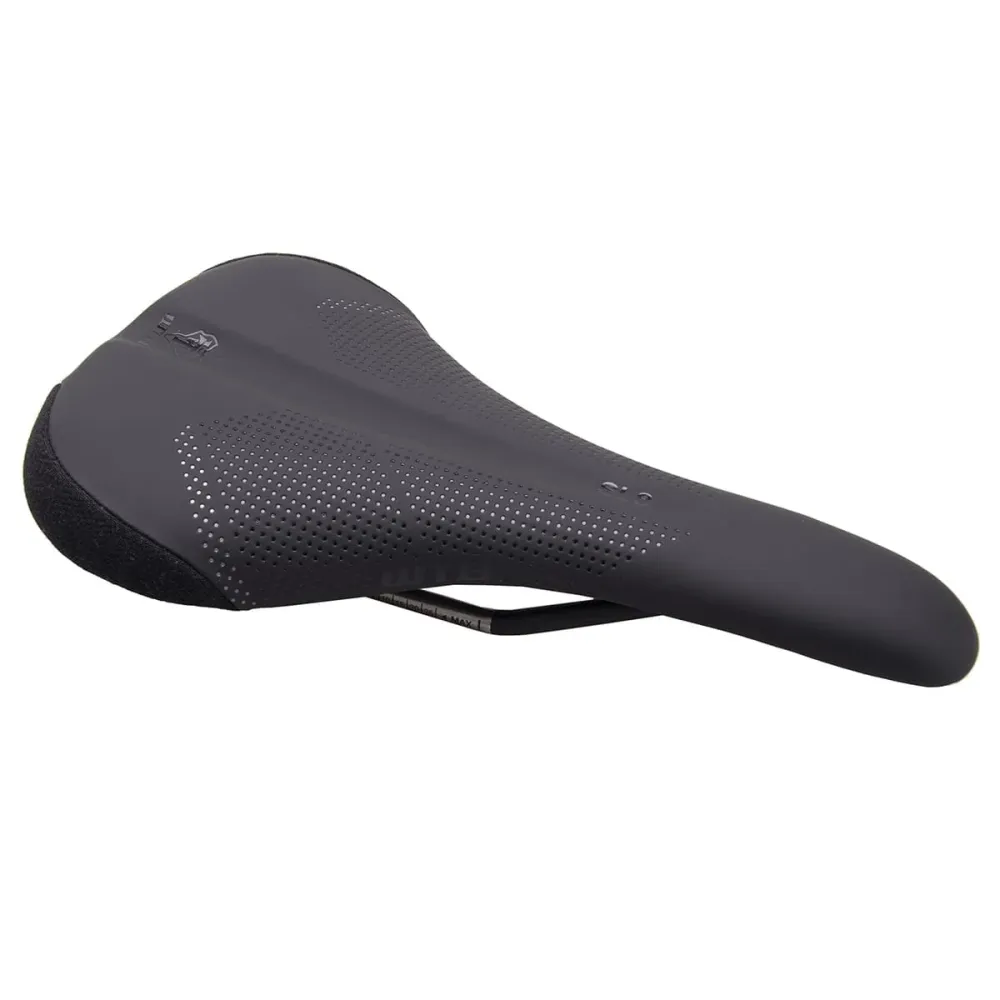 WTB SL8 150 mm sadelskena i titan Svart