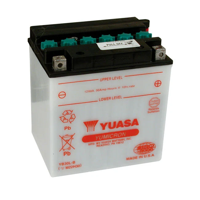 Yuasa Yumicron 12V Blybatteri 30Ah 300CCA