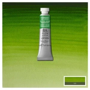 Akvarell Proffs. 5Ml Permanent Sap Green 503