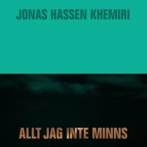 Alt jag inte minns