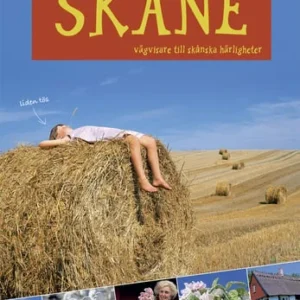 Besöksguide Skåne : vägvisare till Skånska härligheter