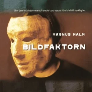 Bildfaktorn