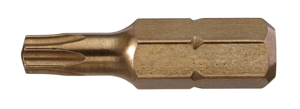 BITS TORX T25 10 PACK
