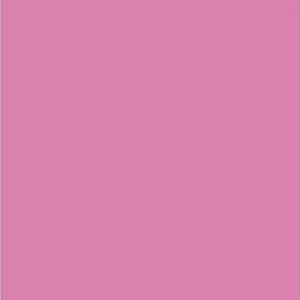 Bläckfisk Rosa 17Ml