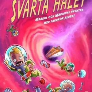 Det svarta hålet