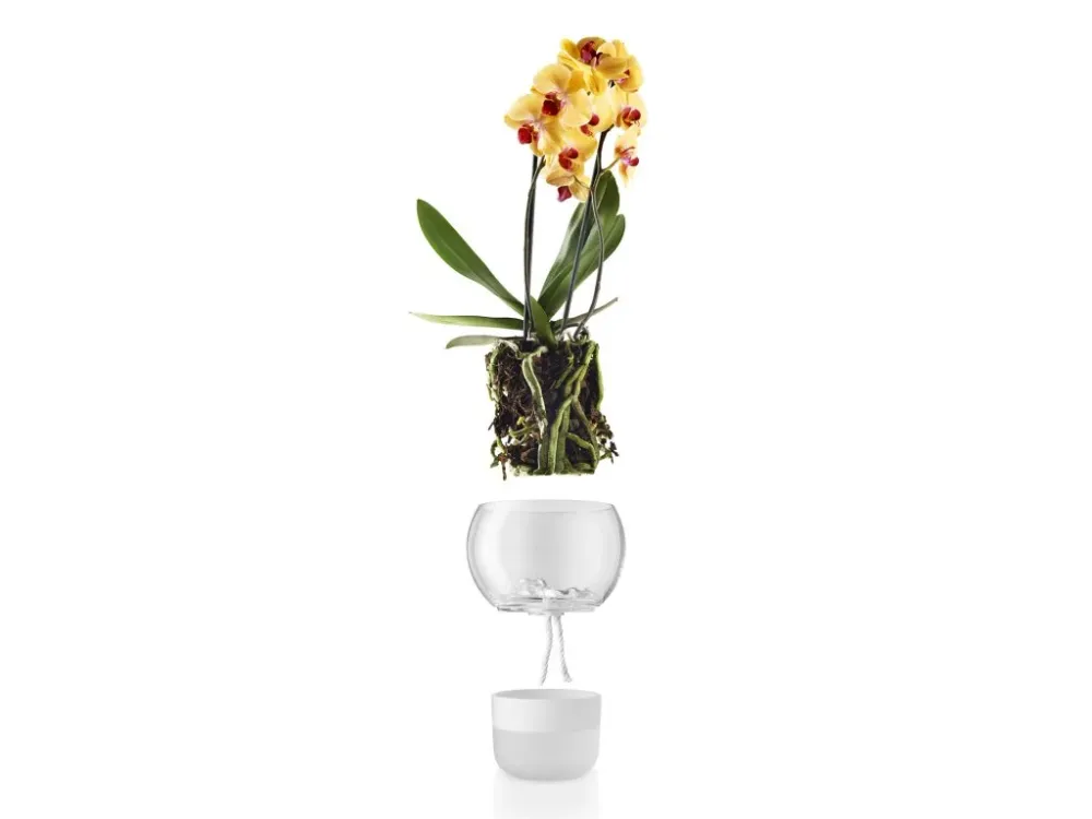 Eva Solo Självvattnande blomkruka 15 cm, för orkidéer, glas