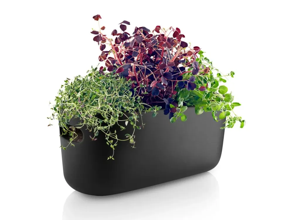 Eva Solo Självvattnande blomkruka 31 cm, svart, keramik