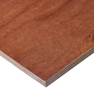 FORMPLYWOOD 12X600X2500MM WISA GRAN LJUS