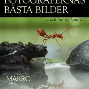 Fotografernas bästa bilder - Makro