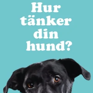 Hur tänker din hund?