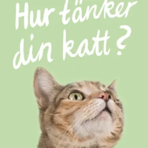 Hur tänker din katt?