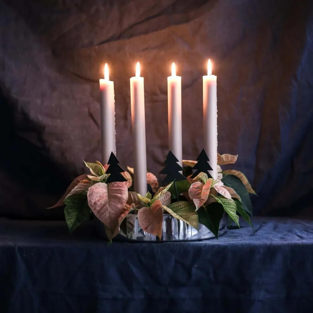 Jubel Advent