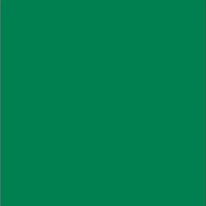 Park Green Platt Matta 17Ml