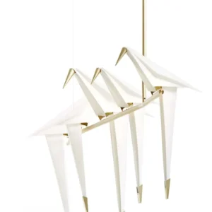 Perch Light Branch