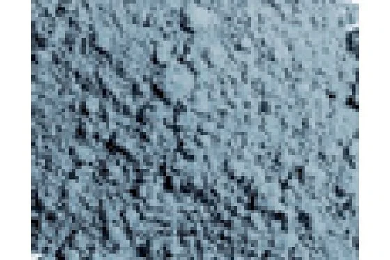 Pigment Ljus Skiffergrå 35Ml