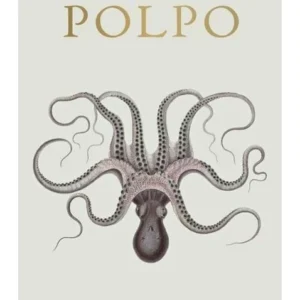 Polpo