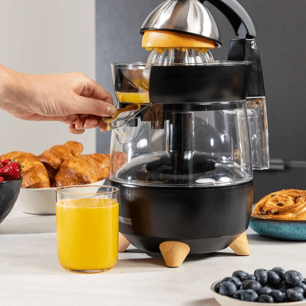 Princess Juicepress Luxurious own design 300W