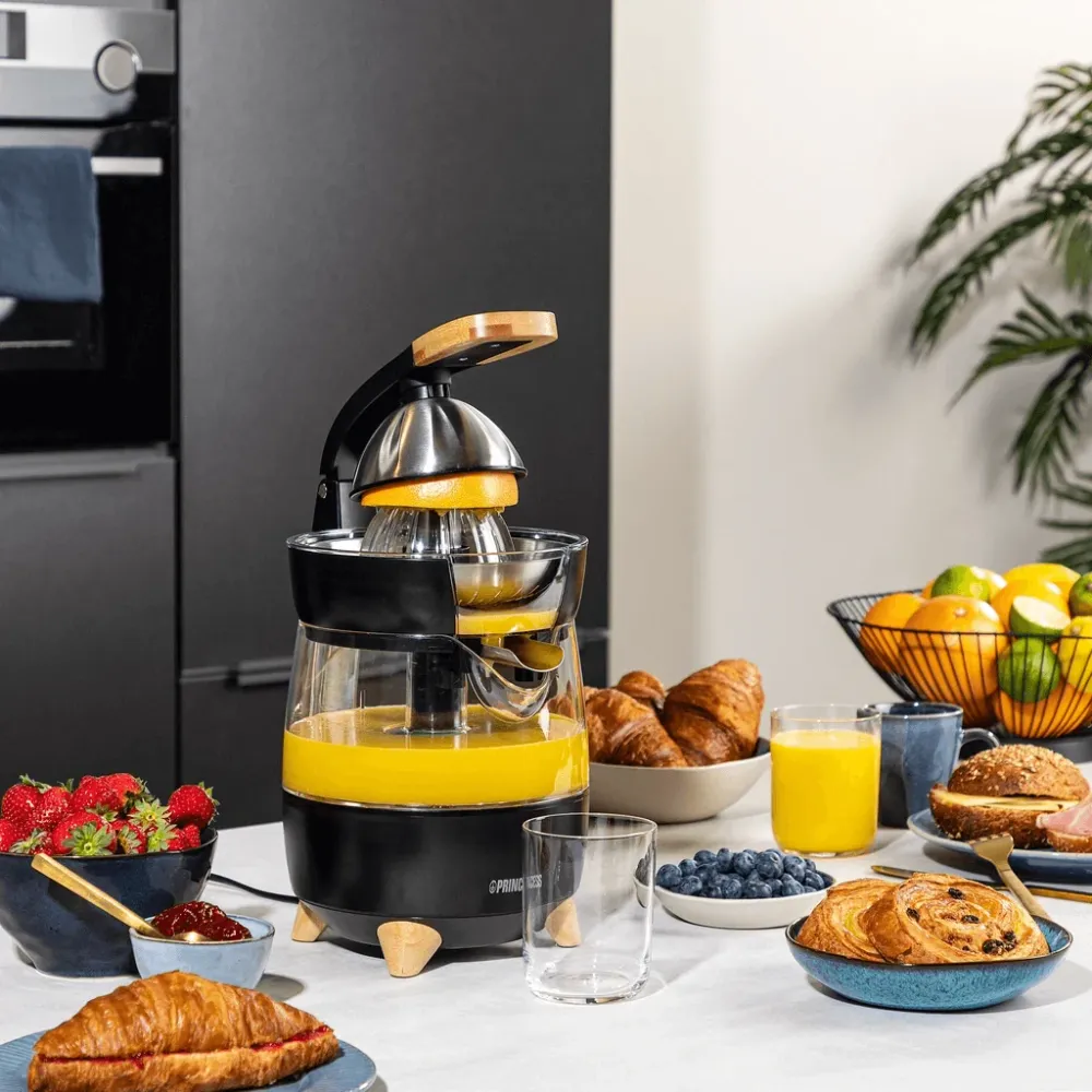 Princess Juicepress Luxurious own design 300W