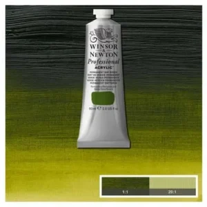 Prof Acrylic 60Ml Permanent Sap Green 503