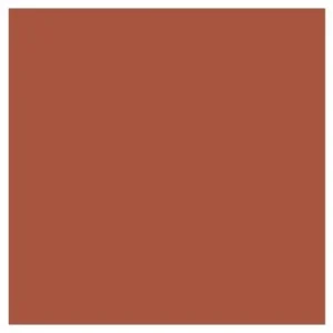 Promark Burnt Umber R646