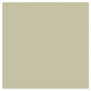 Promark Khaki Y616