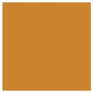 Promark Raw Sienna O646