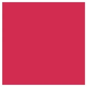 Promark Ruby R455