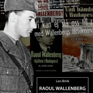 Raoul Wallenberg i dagspressen under kalla kriget