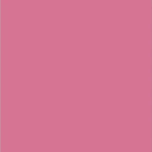 Rosa Matt 17Ml