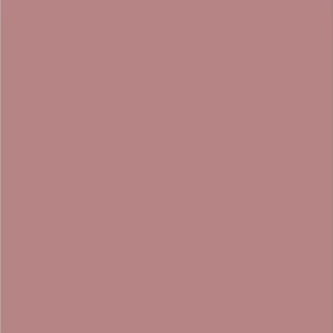 Rose Brun Matt 17Ml