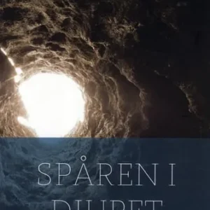 Spåren i djupet : om det gudomliga ordets makt