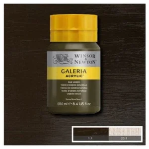 Winsor Galeria Acrylic 250Ml Raw Umber 554